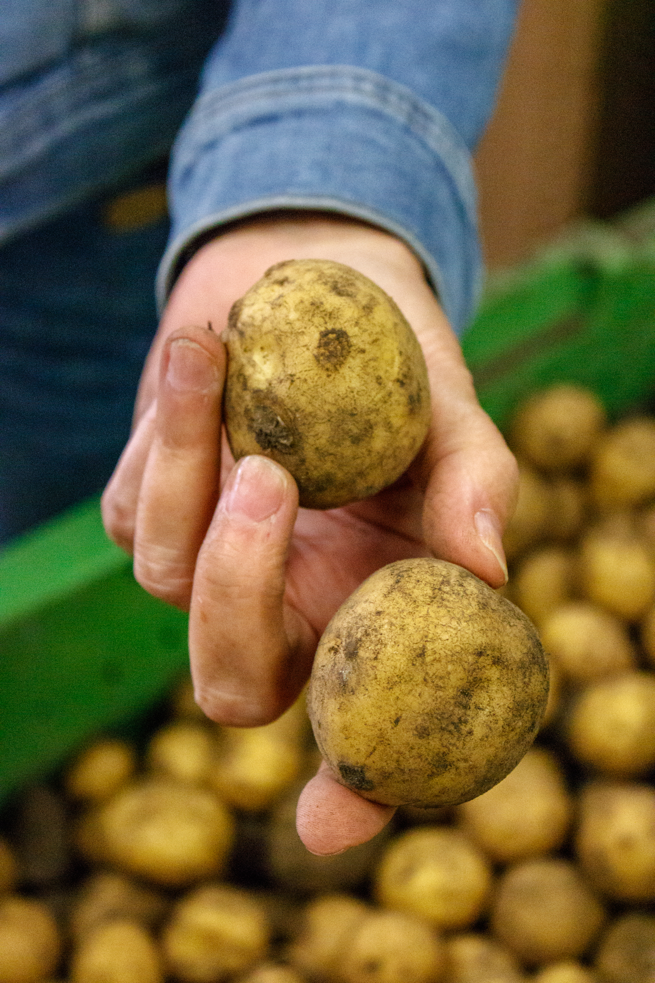 exkursion-kuhhorst-c-dinah-hoffmann-13