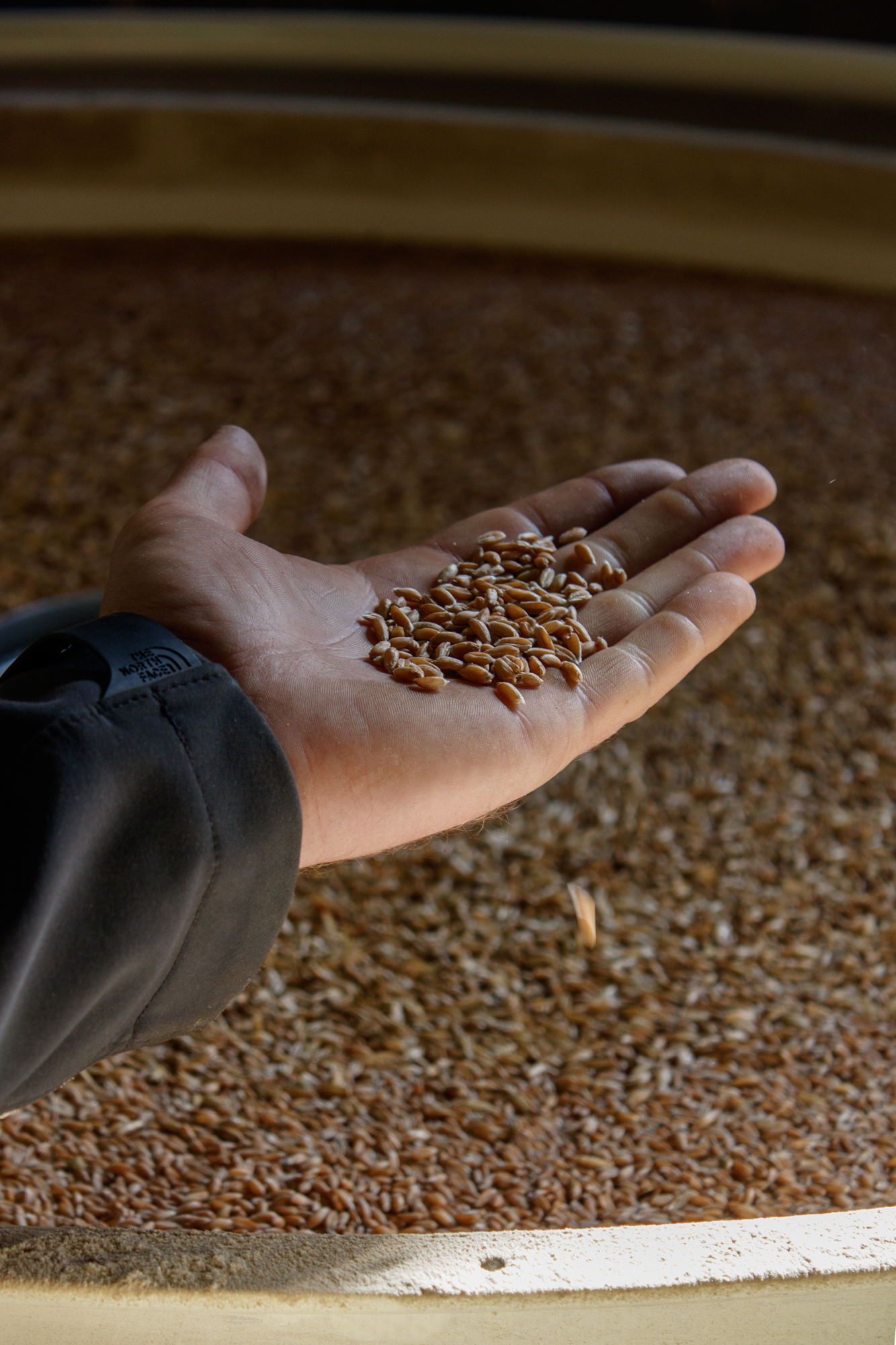 exkursion-kuhhorst-c-dinah-hoffmann-15