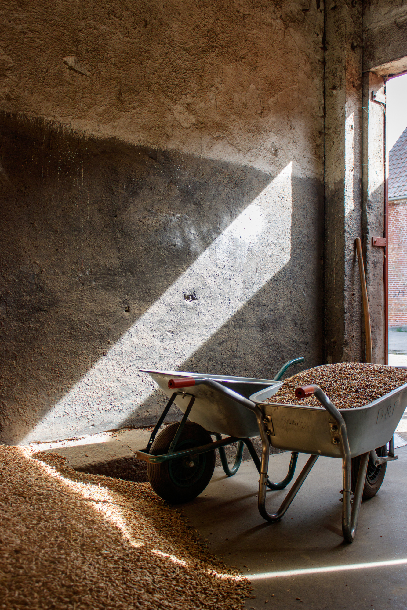 exkursion-kuhhorst-c-dinah-hoffmann-18