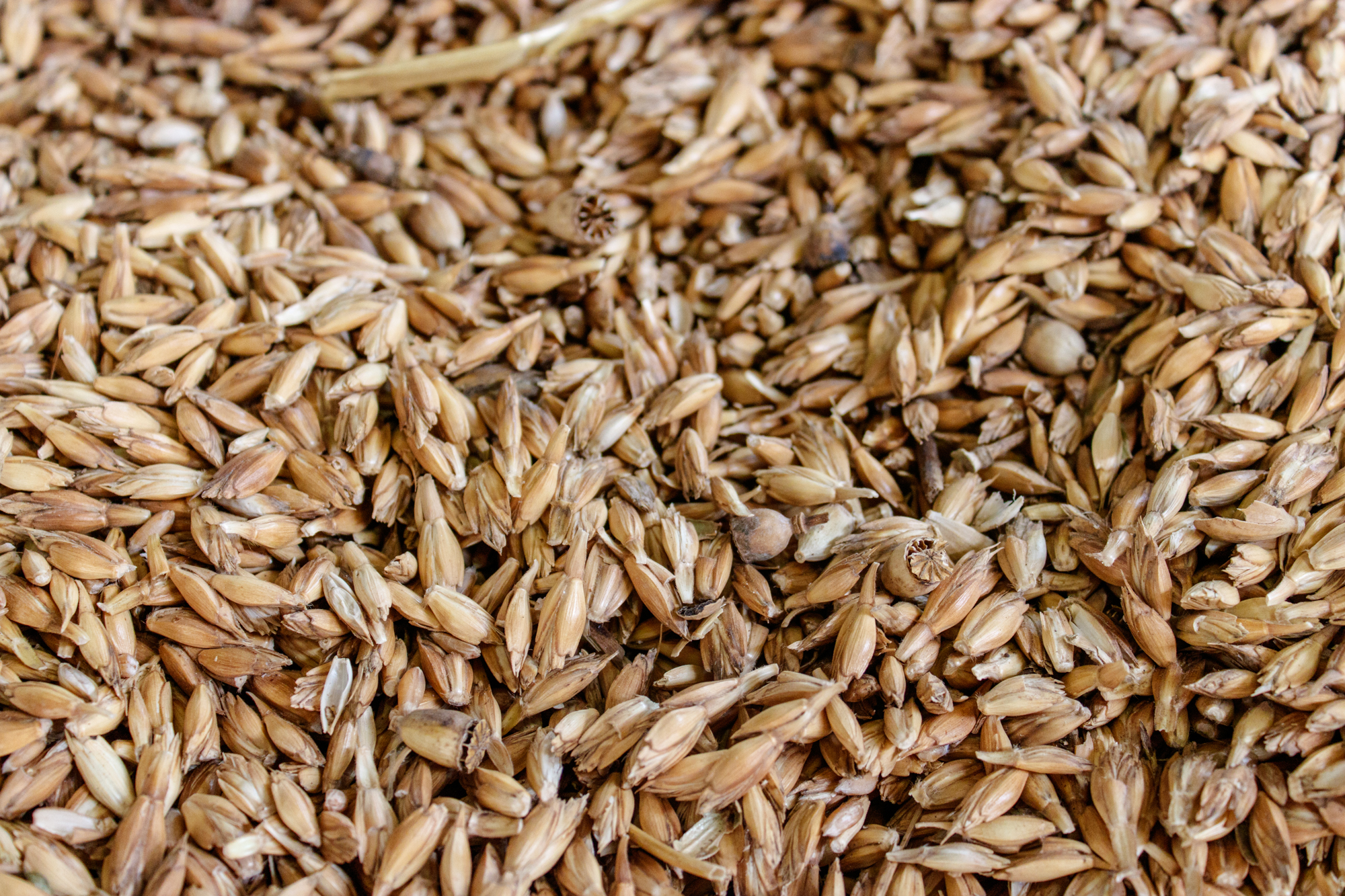 exkursion-kuhhorst-c-dinah-hoffmann-21