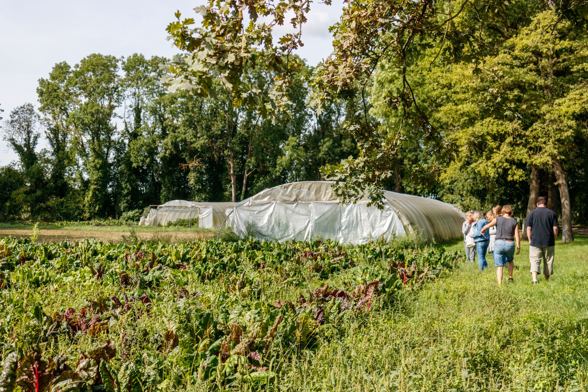 exkursion-kuhhorst-c-dinah-hoffmann-23