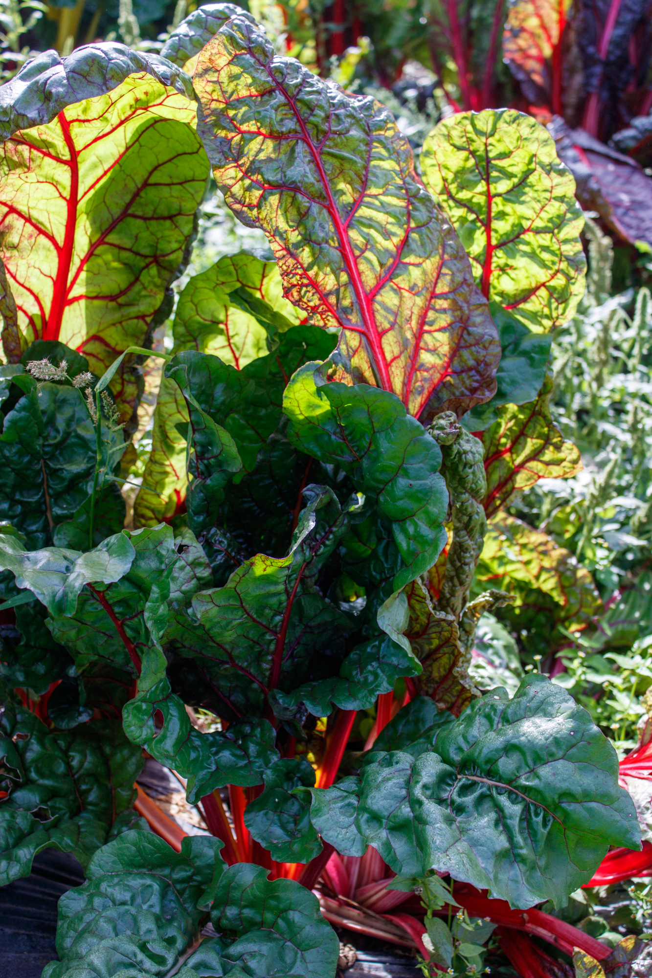 exkursion-kuhhorst-c-dinah-hoffmann-24