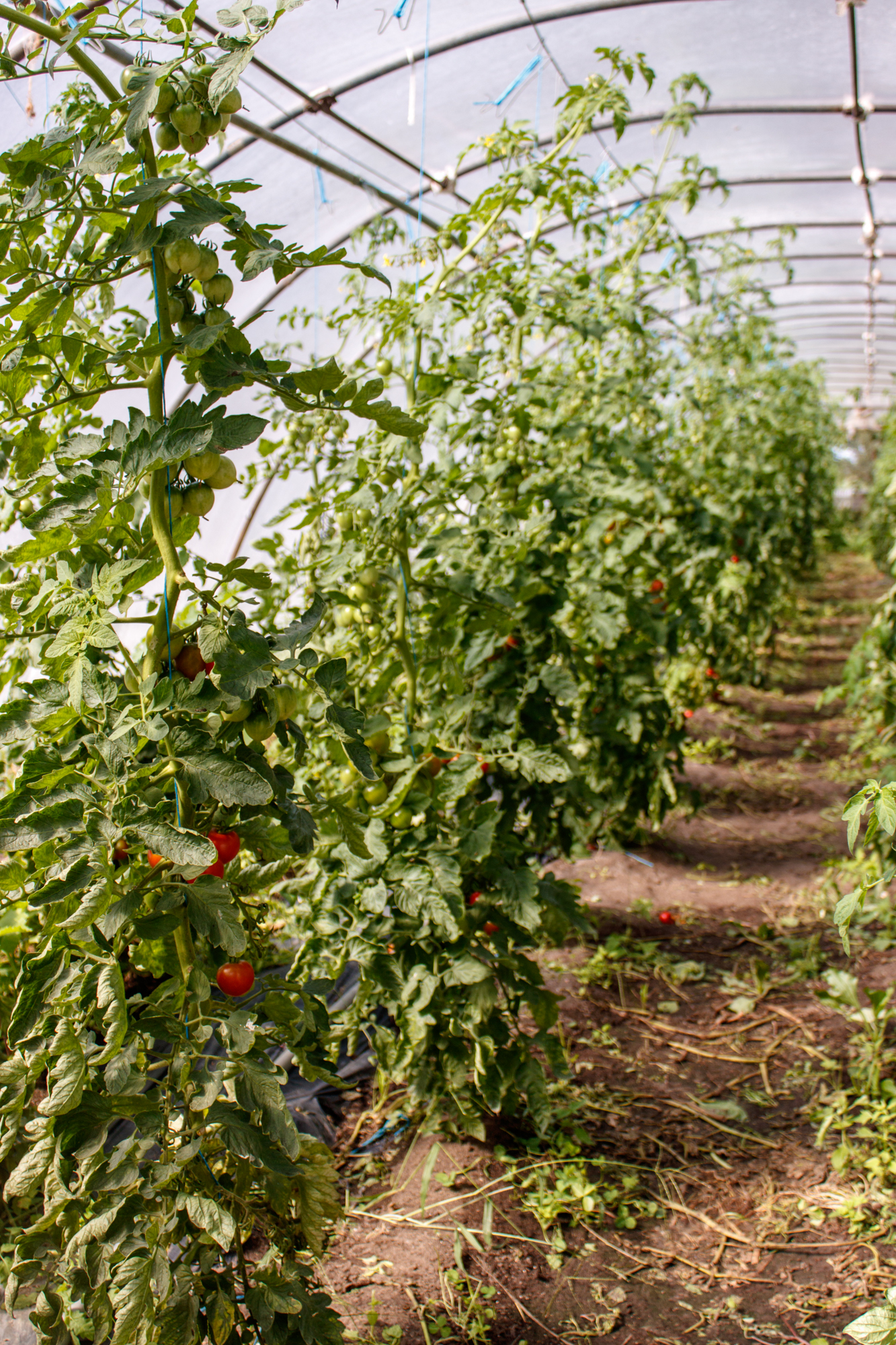 exkursion-kuhhorst-c-dinah-hoffmann-25