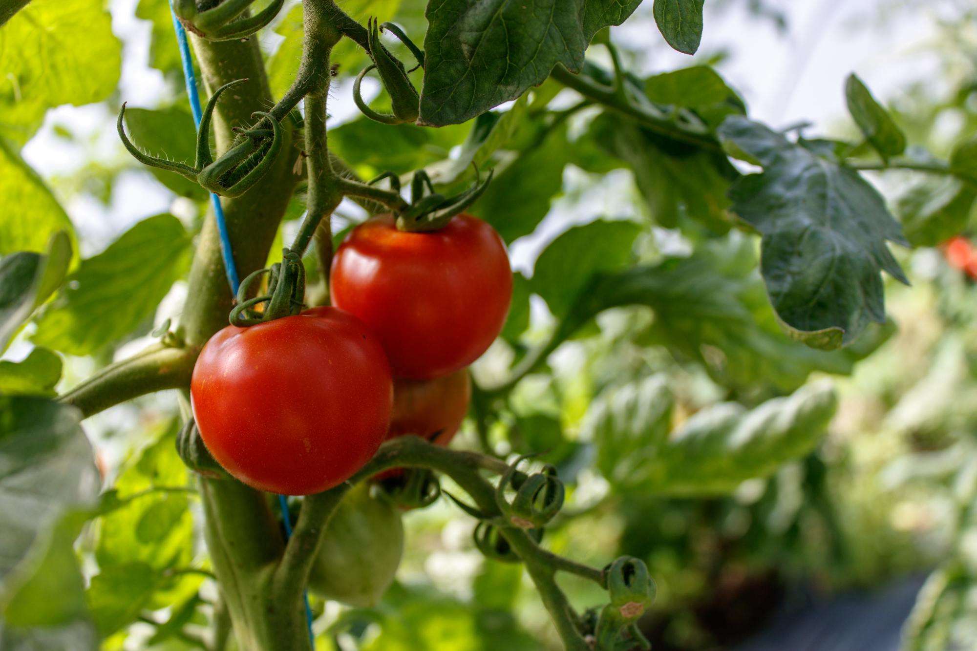 exkursion-kuhhorst-c-dinah-hoffmann-26