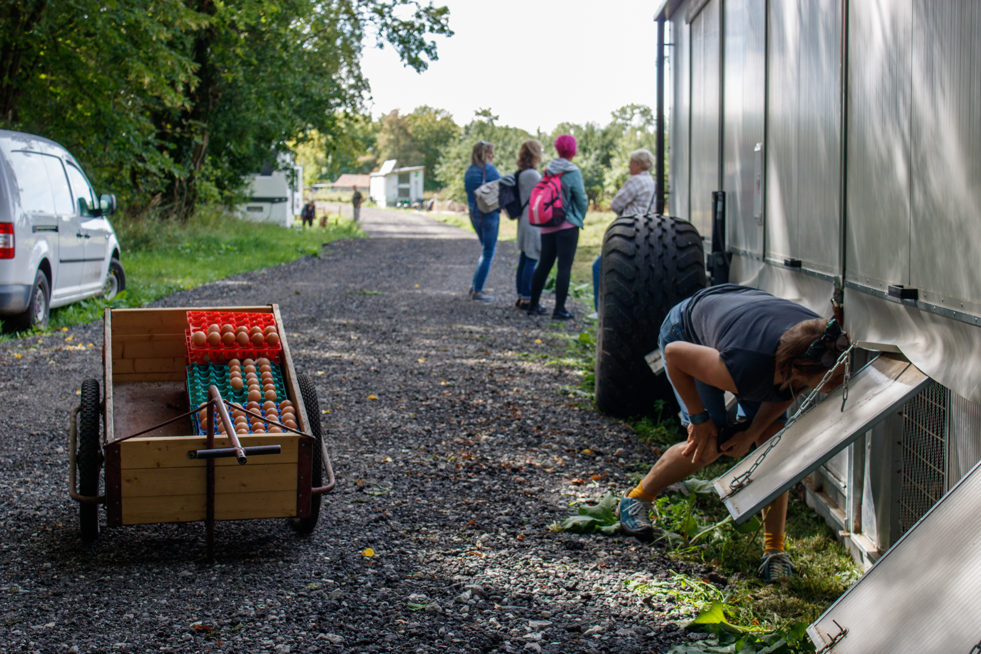 exkursion-kuhhorst-c-dinah-hoffmann-29