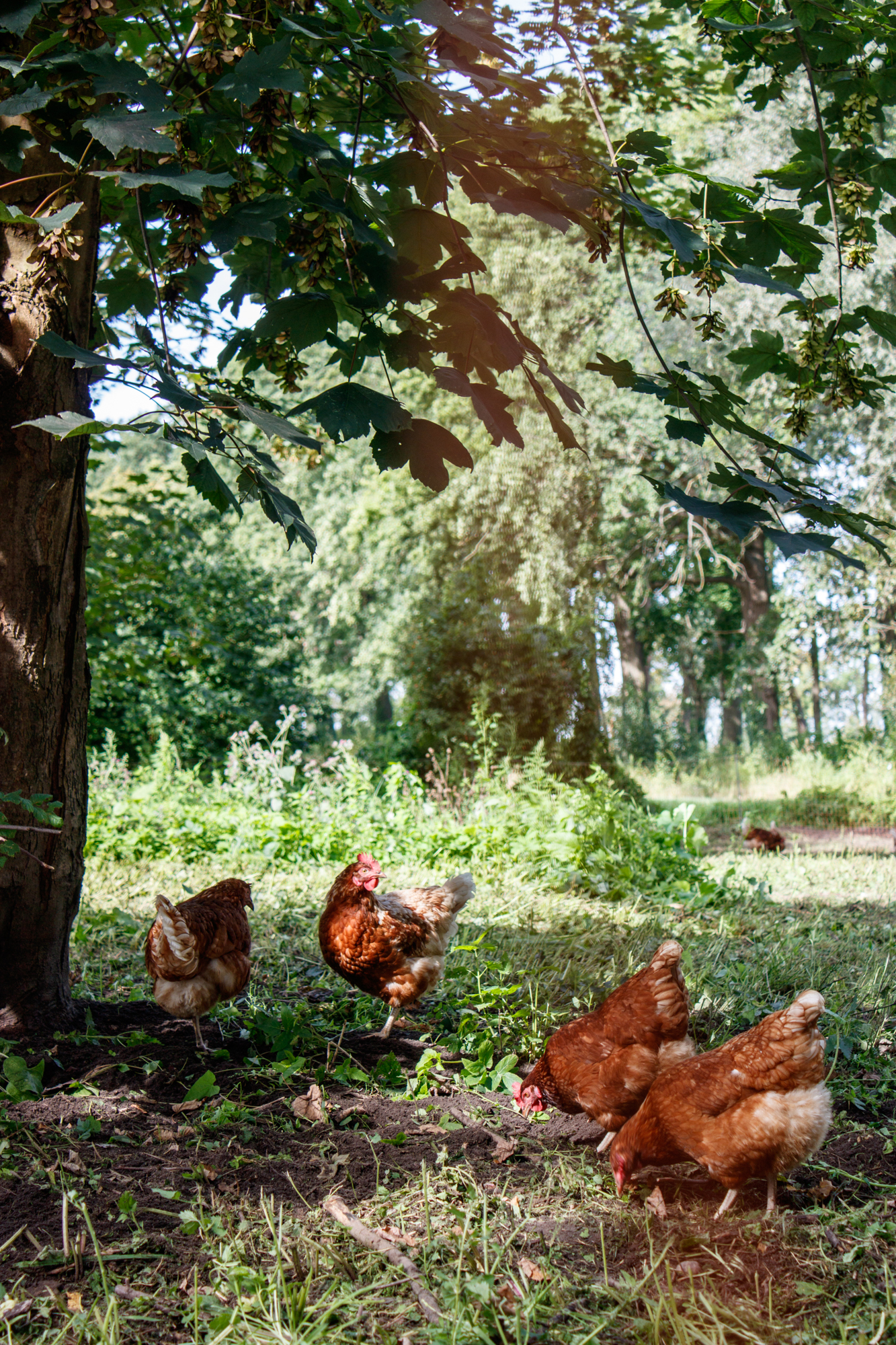 exkursion-kuhhorst-c-dinah-hoffmann-34