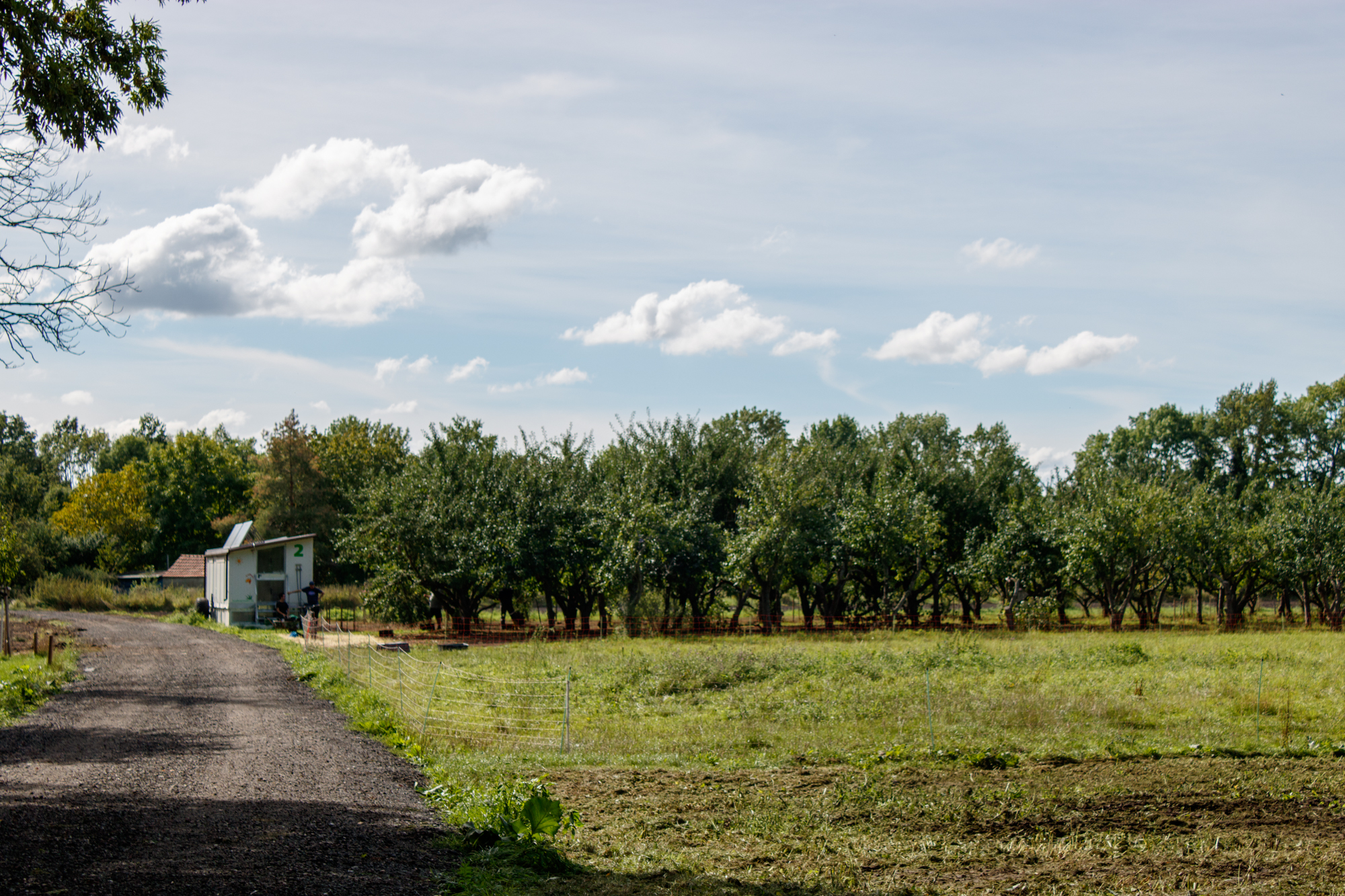 exkursion-kuhhorst-c-dinah-hoffmann-38