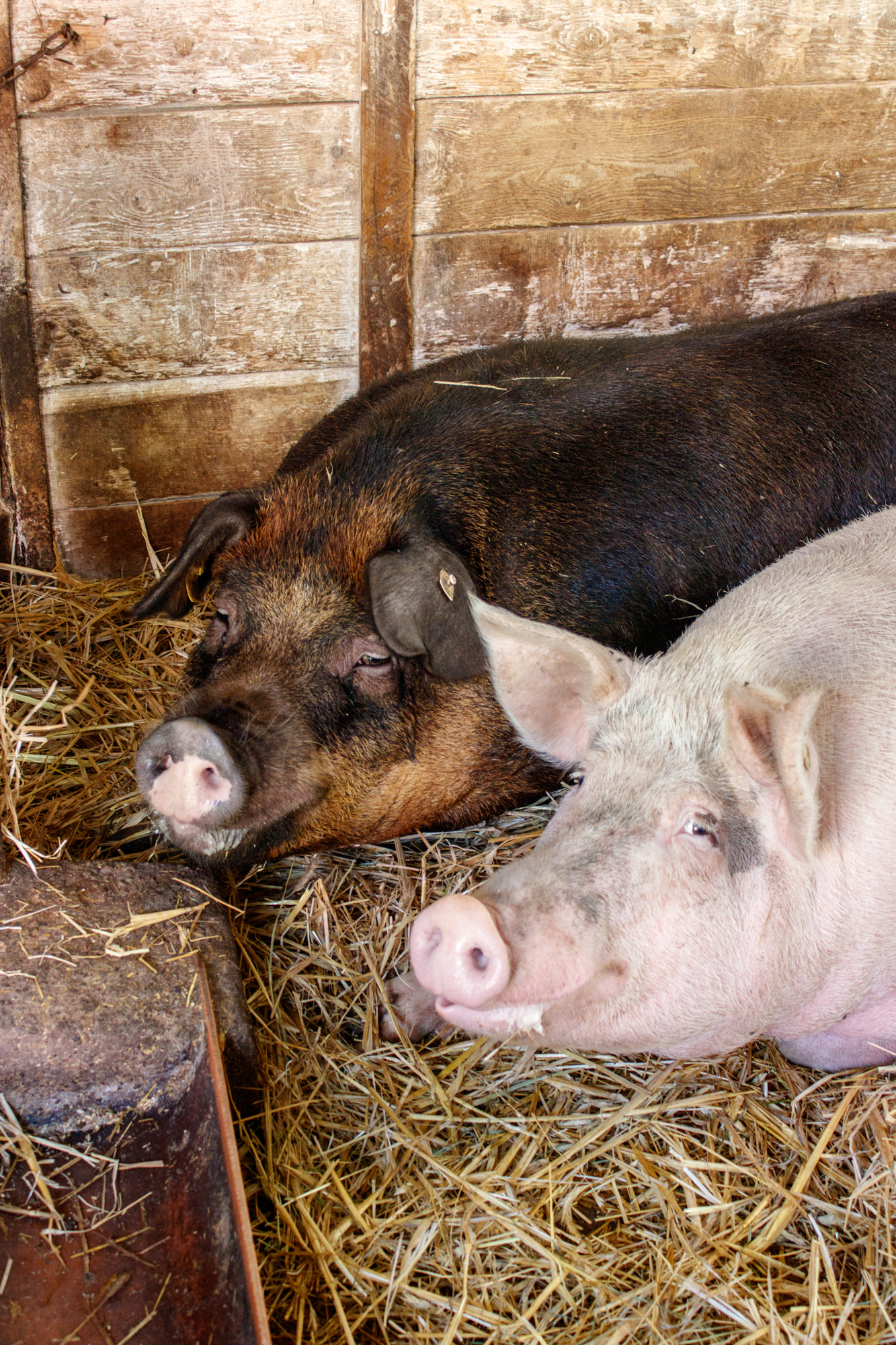 exkursion-kuhhorst-c-dinah-hoffmann-39