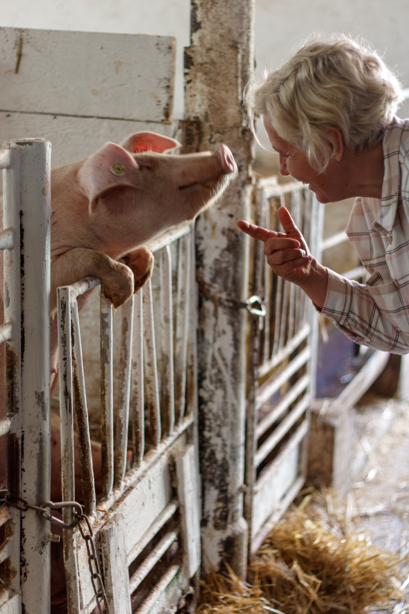 exkursion-kuhhorst-c-dinah-hoffmann-43