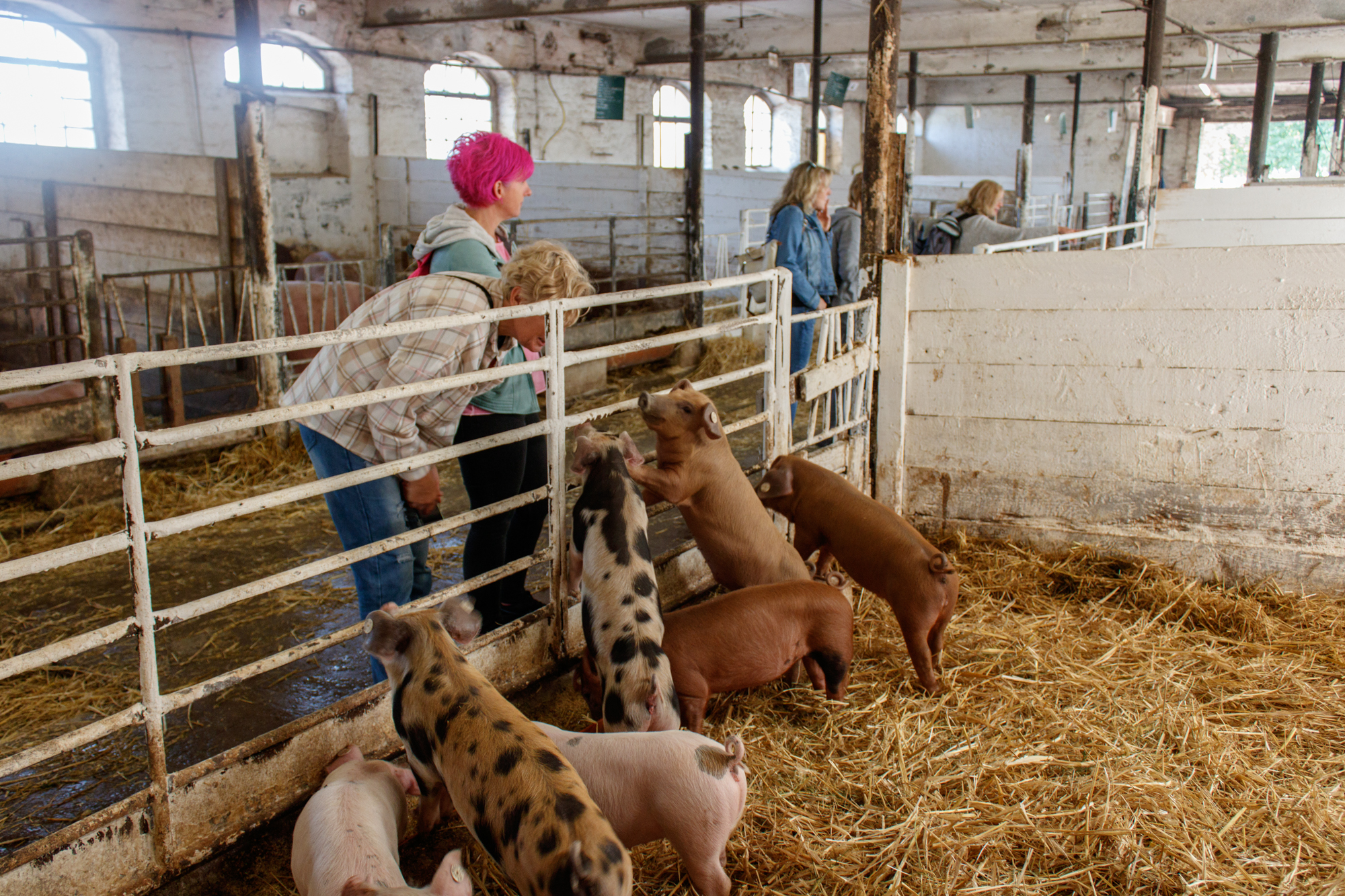 exkursion-kuhhorst-c-dinah-hoffmann-47