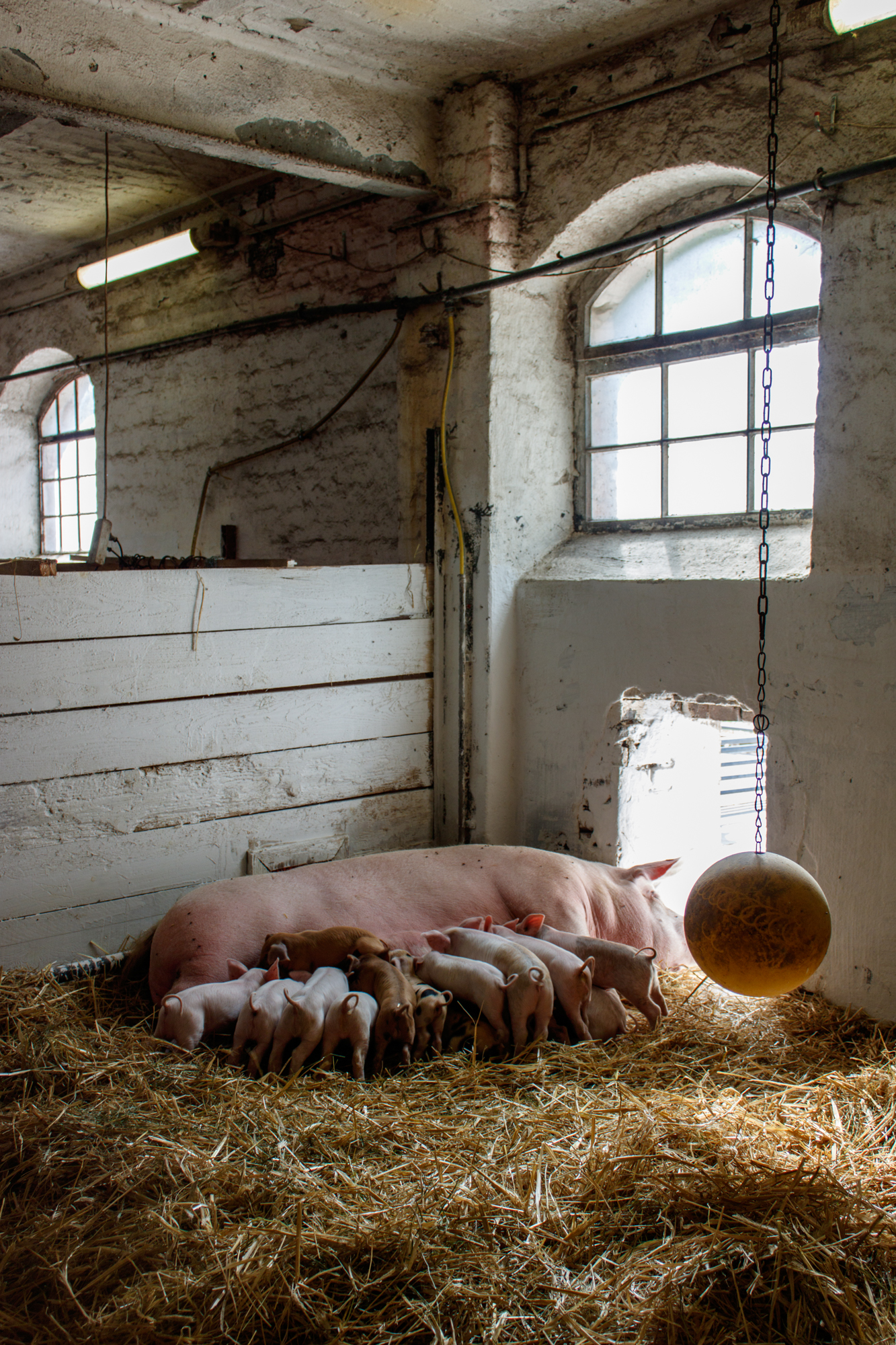 exkursion-kuhhorst-c-dinah-hoffmann-50