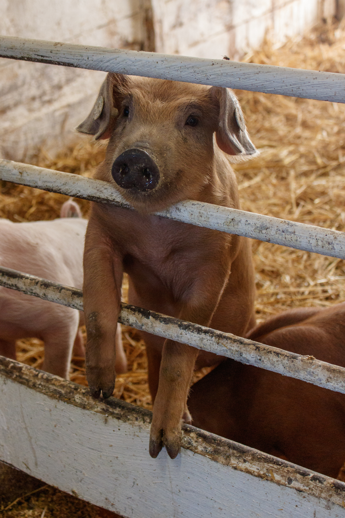 exkursion-kuhhorst-c-dinah-hoffmann-55