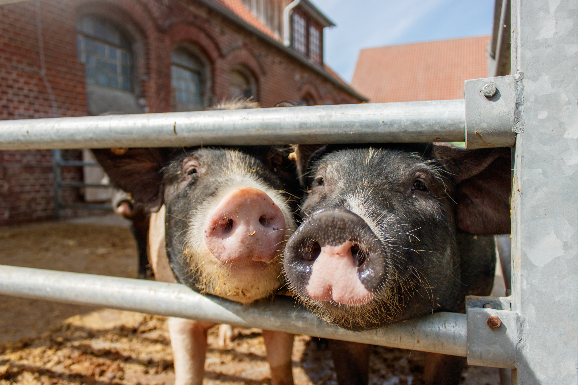 exkursion-kuhhorst-c-dinah-hoffmann-61