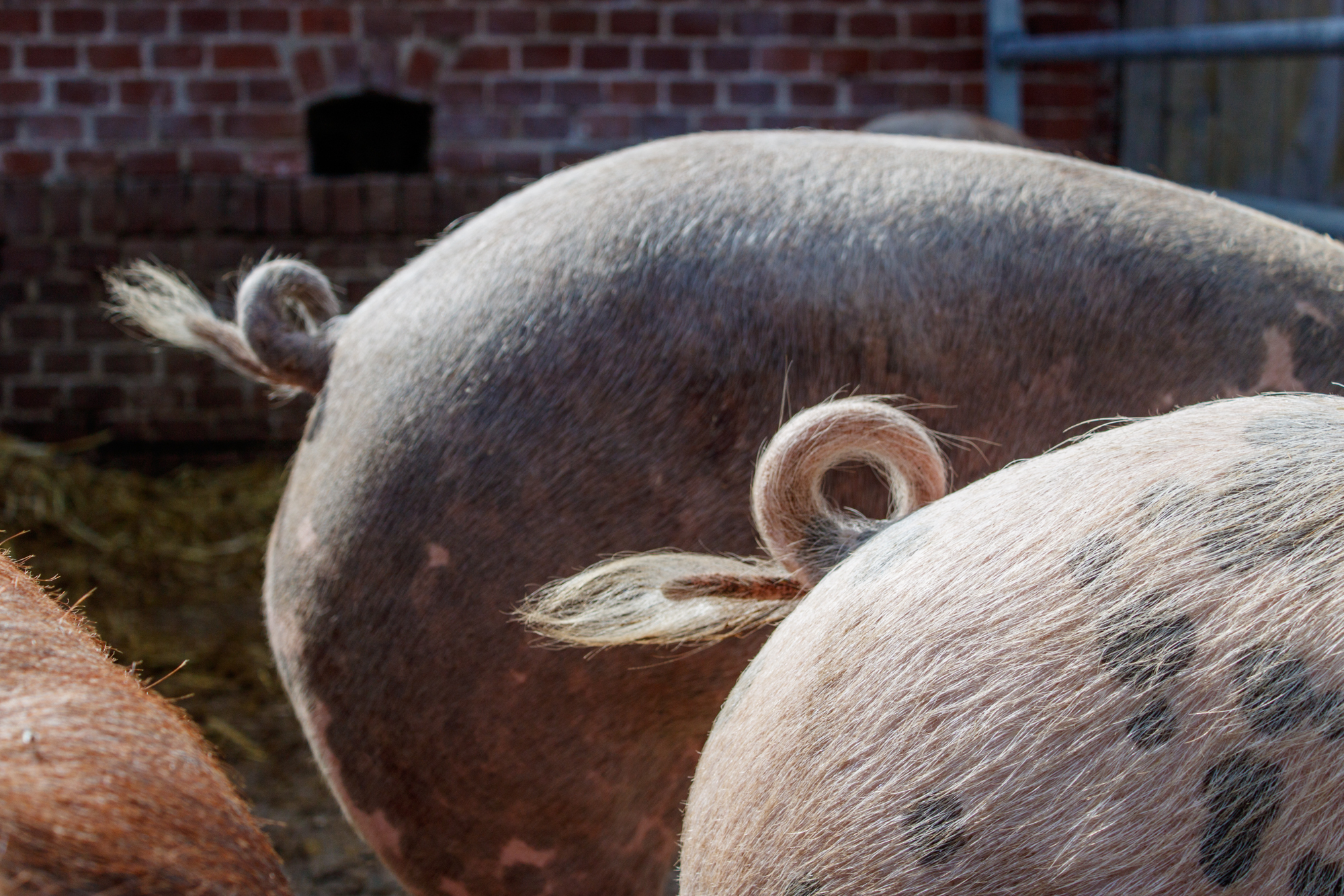 exkursion-kuhhorst-c-dinah-hoffmann-62