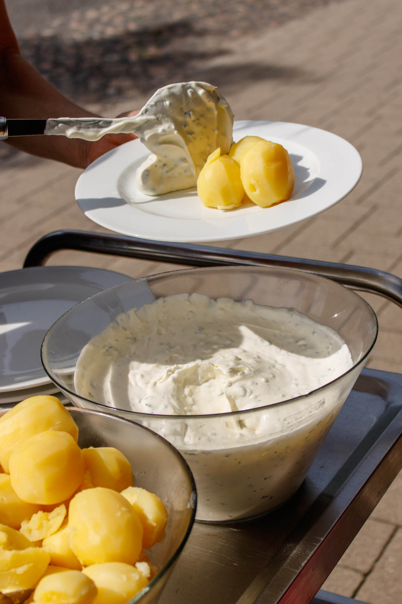 exkursion-kuhhorst-c-dinah-hoffmann-66