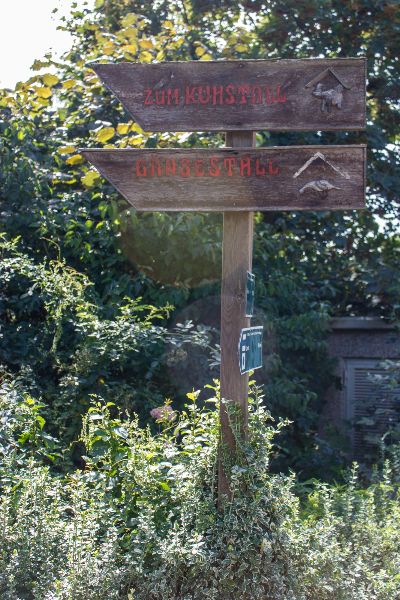 exkursion-kuhhorst-c-dinah-hoffmann-68