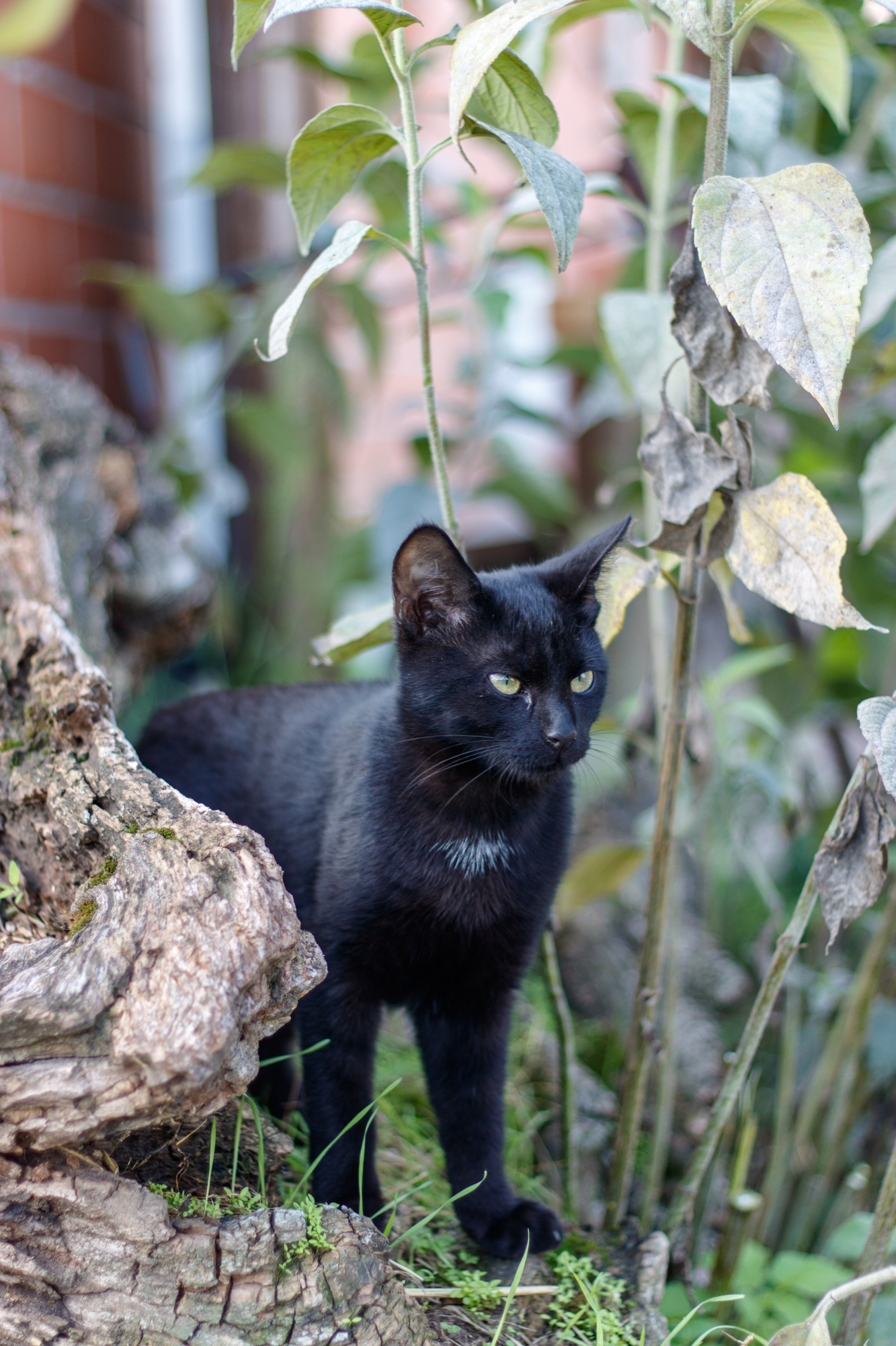 exkursion-kuhhorst-c-dinah-hoffmann-72