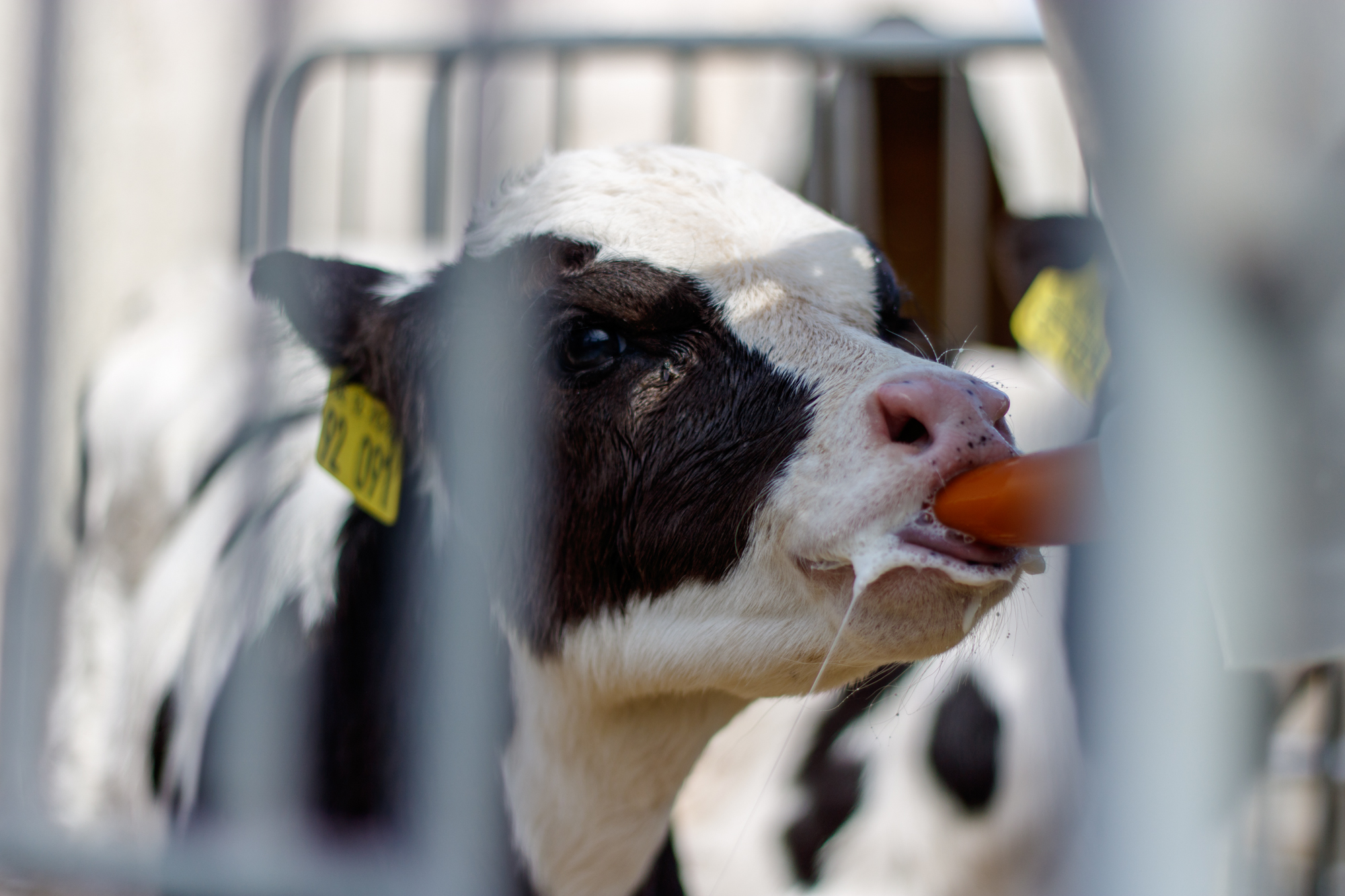 exkursion-kuhhorst-c-dinah-hoffmann-75