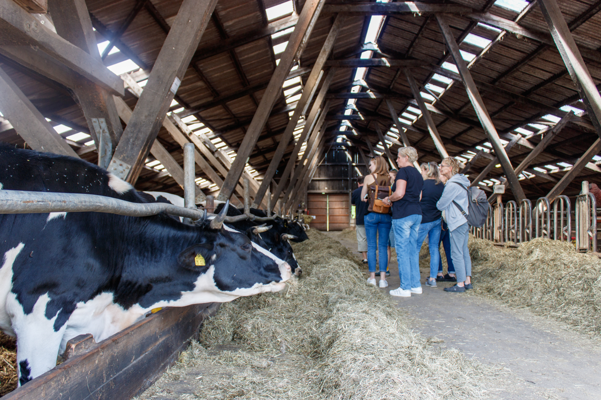 exkursion-kuhhorst-c-dinah-hoffmann-81