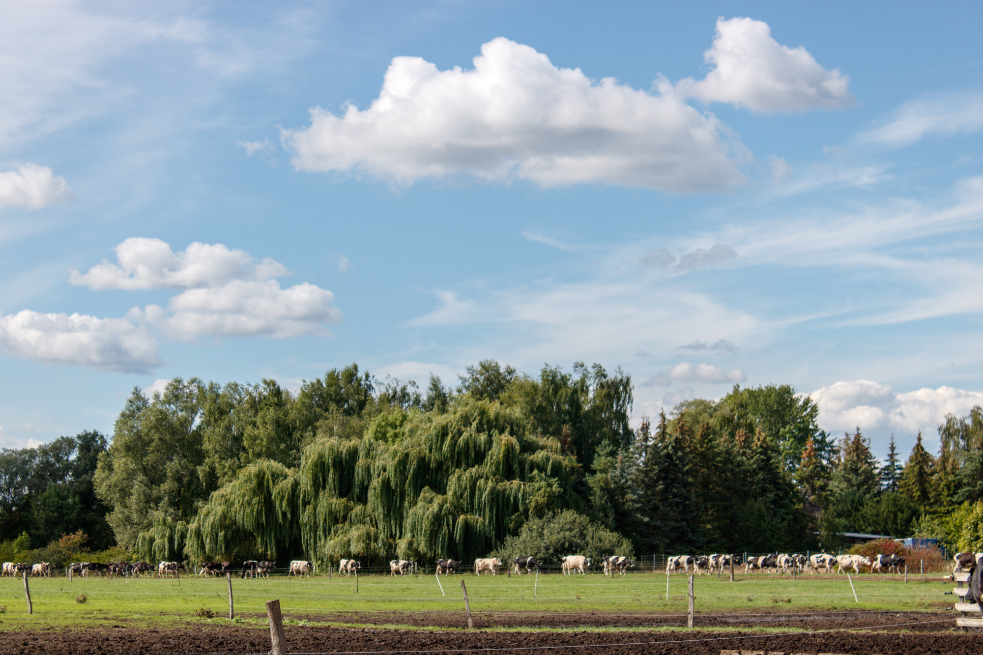 exkursion-kuhhorst-c-dinah-hoffmann-88